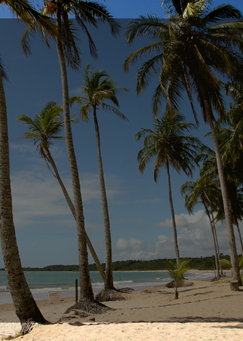 TOUR PLAYA SEGURA $175 EXVR DIABLO QUITEÑO TRAVEL AND EVENTS